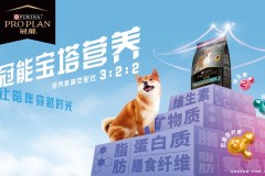 雀巢普瑞纳“冠能宝塔营养”，以询证科学坚守宠物健康